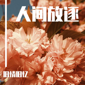 少妇人妻AV毛片在线看
